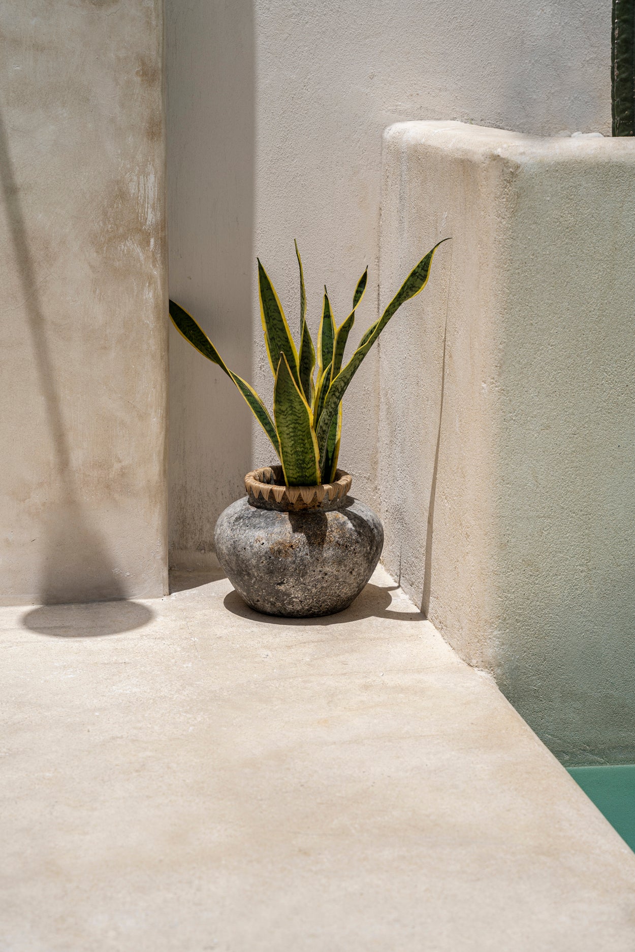 Vase Styly