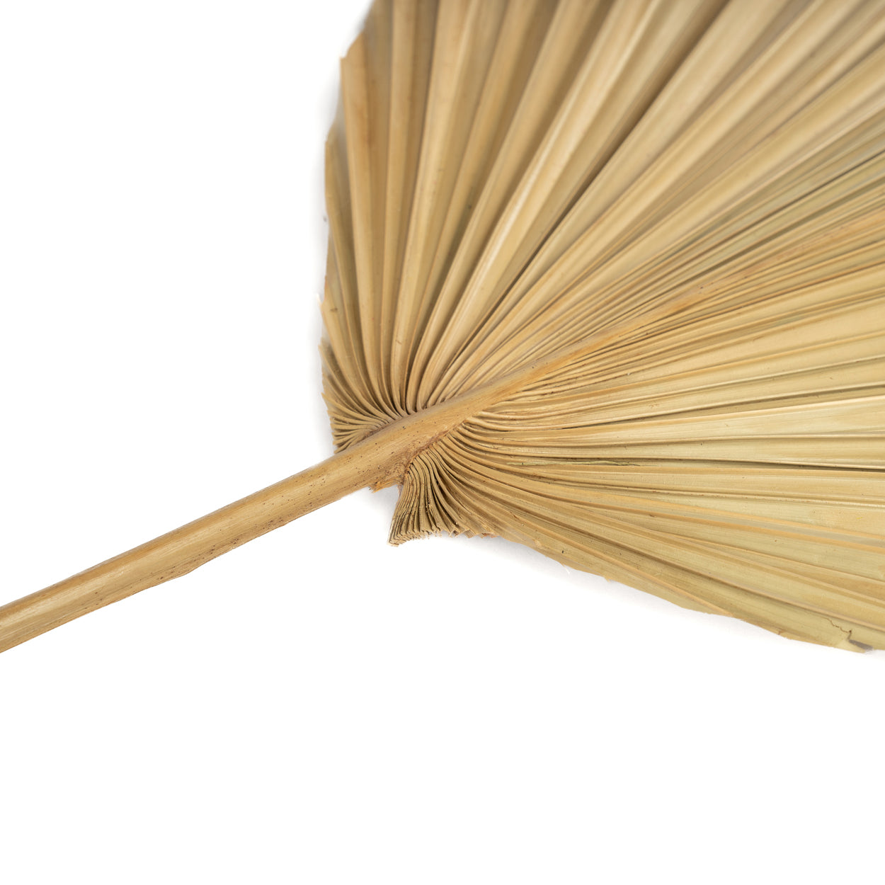 La Feuille Rayung