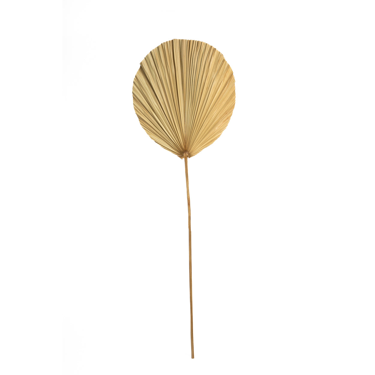 La Feuille Rayung