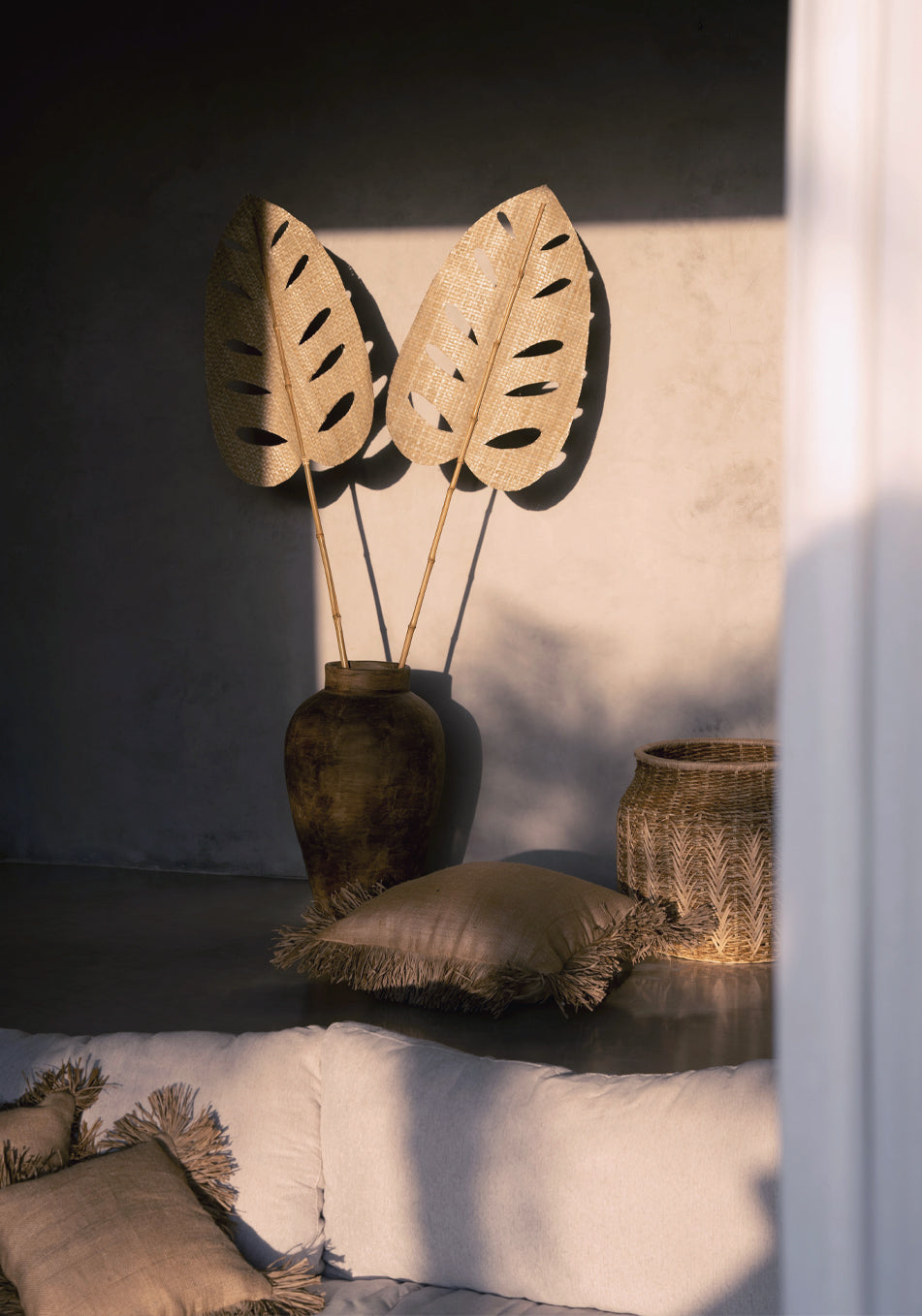 Le Water Hyacinth Leaf
