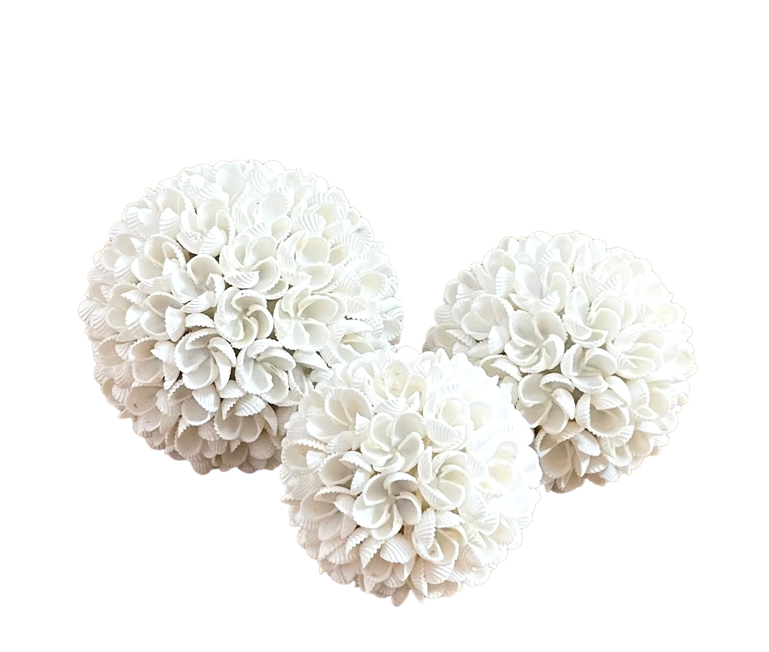 Boules en coquillage