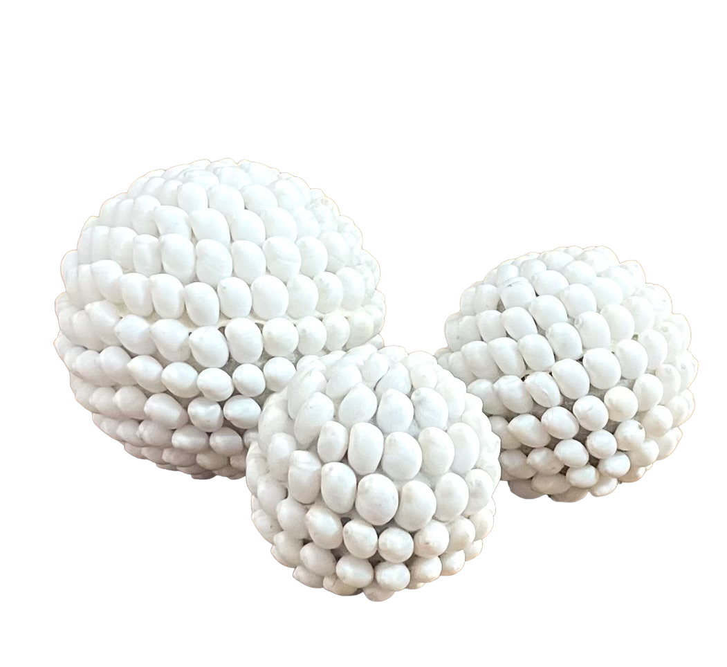 Boules en coquillage