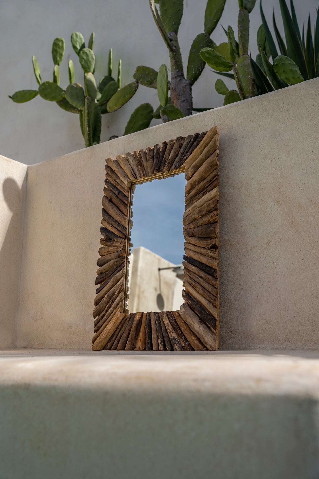 Le Miroir Driftwood Framed