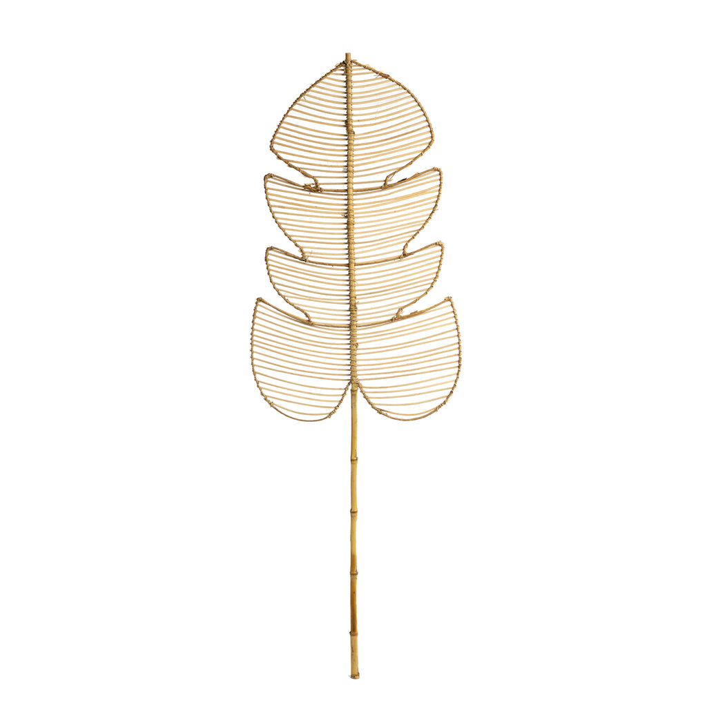 Le Rotin Monstera