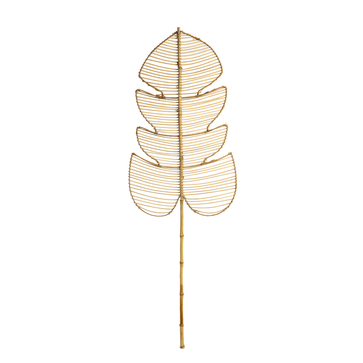 Le Rotin Monstera