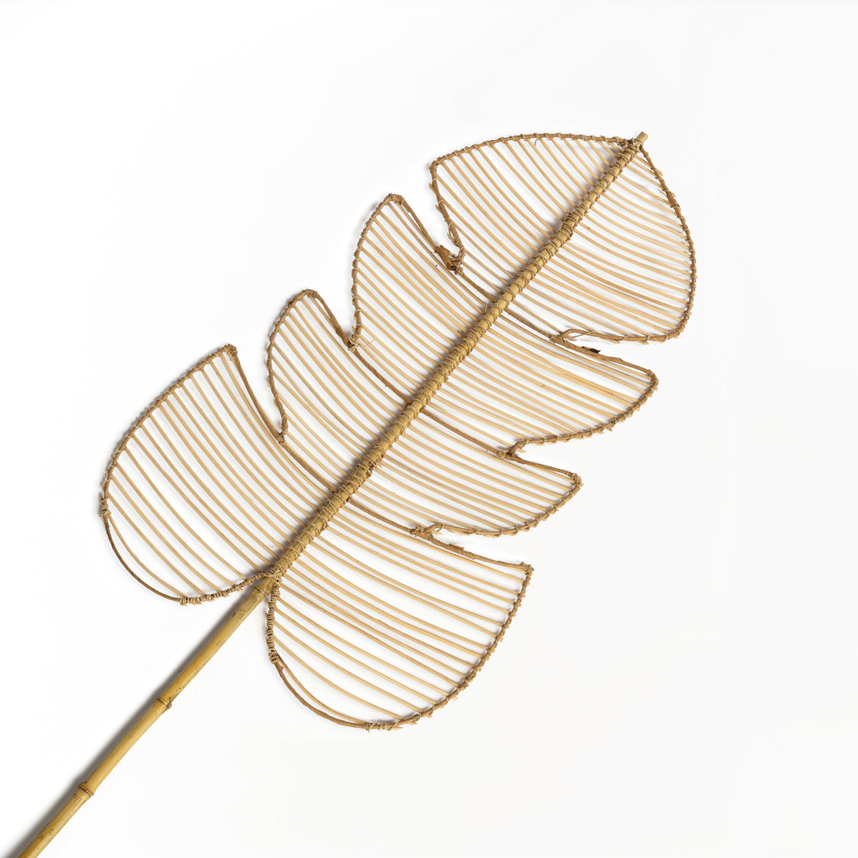 Le Rotin Monstera