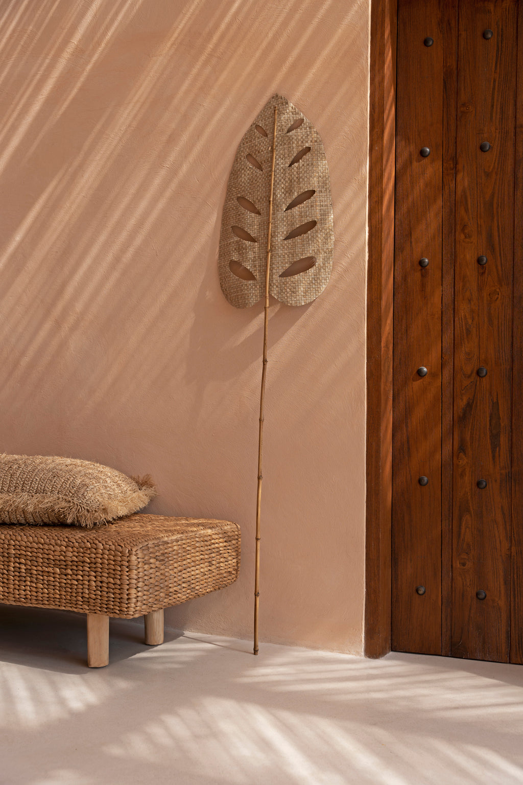 Le Water Hyacinth Leaf