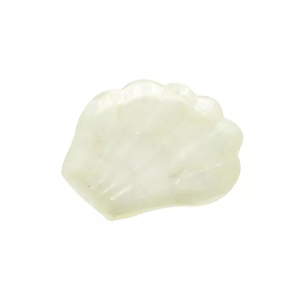 Porte savon coquillage